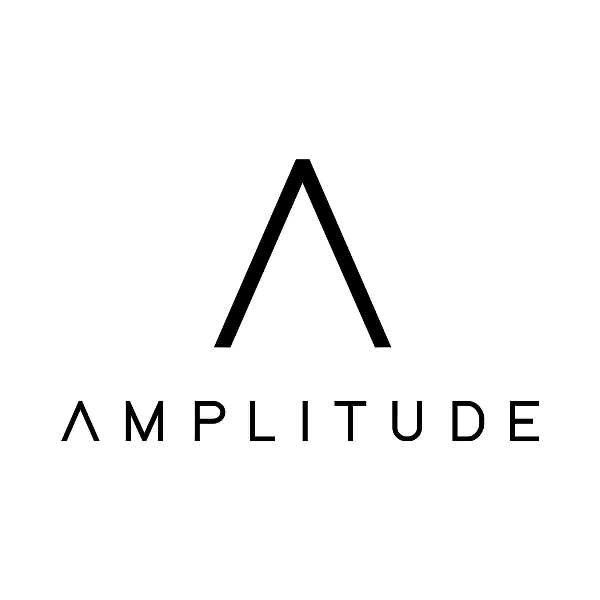 amplitude - logo silver - TFW25